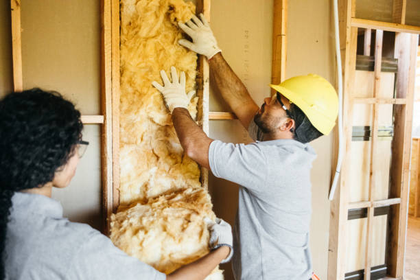 Trusted Hartselle, AL Insulation Experts